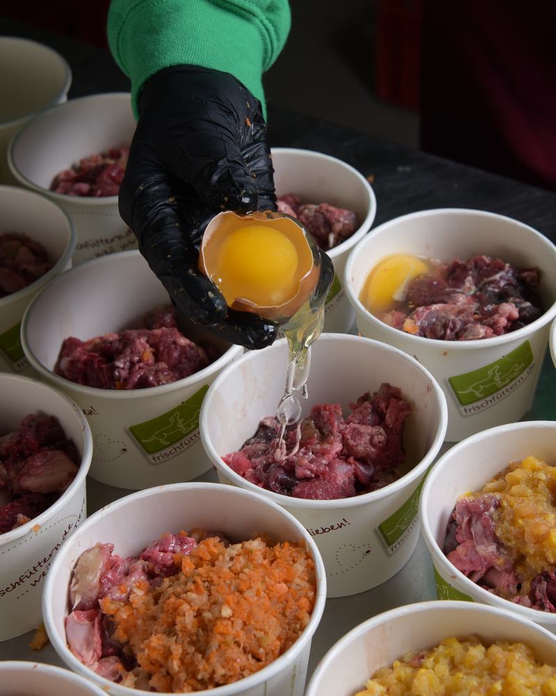 Ein Ei wird über frisch befüllten Futterbechern mit Fleisch, Gemüse und Obst aufgeschlagen